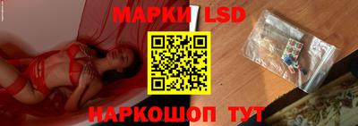 МДПВ Камышлов