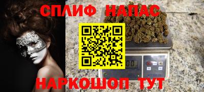 МДПВ Камышлов
