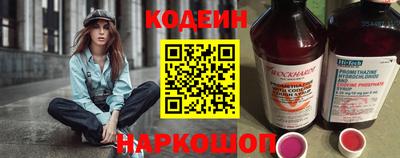 МДПВ Камышлов
